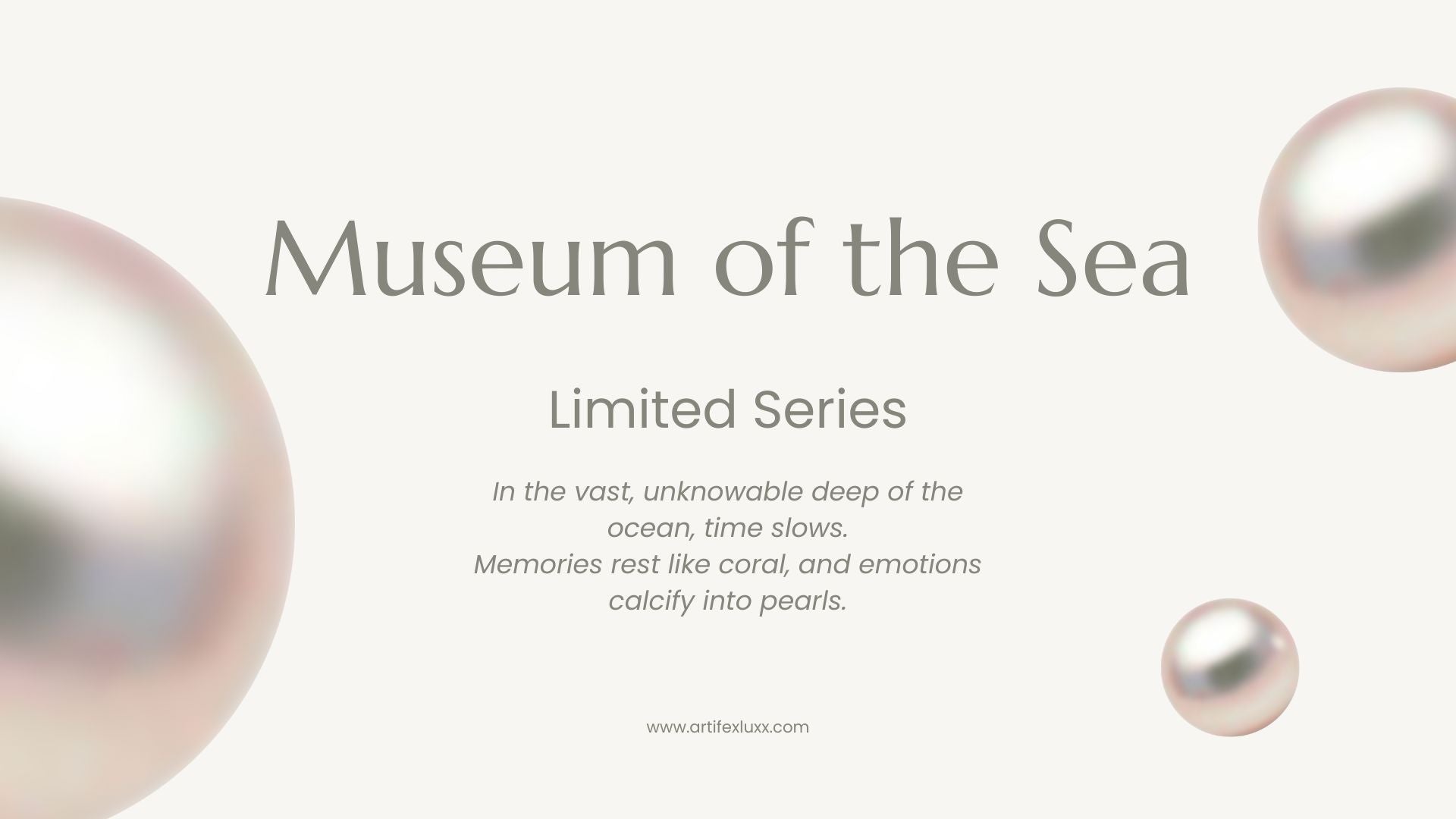 Museum of the Sea – Where Silence Shines Louder than Words